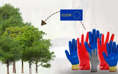 The New Global Arena: ถุงมือยางไทยกับกติกาใหม่ที่ต้องพิชิต