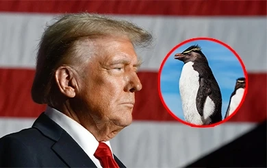 ทรัมป์ปะทะเพนกวิน! เมื่อภาษีนำเข้าบุกถึงเกาะที่มีแต่นกในชุดสูท